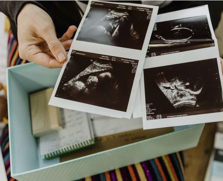 Seminario Psicología de la fertilidad y reproducción humana